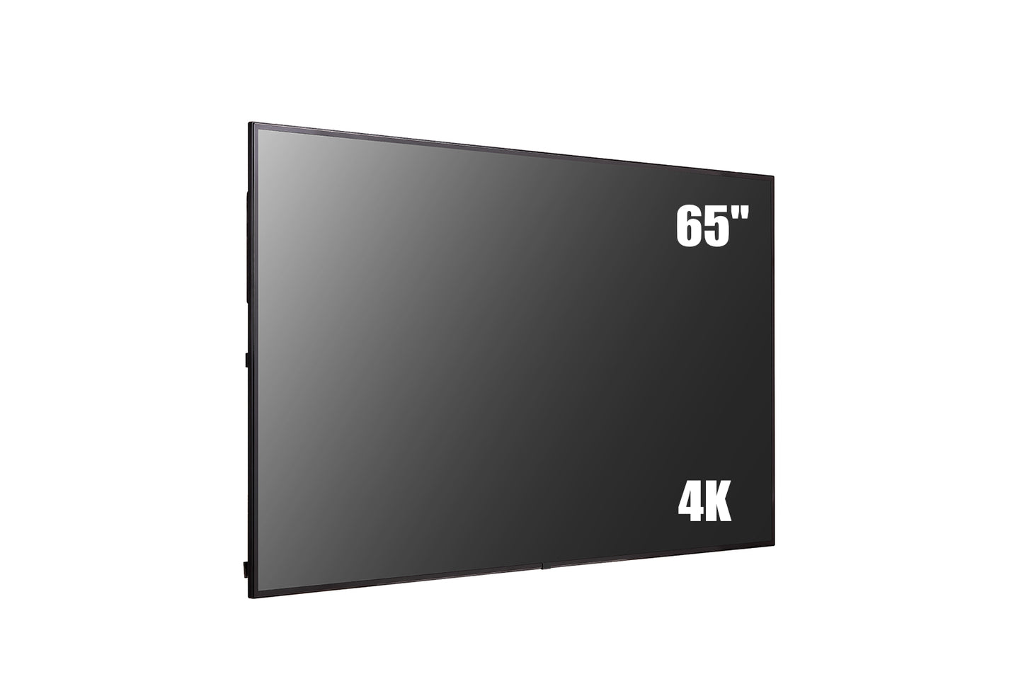 65" 4K screen with floor stand